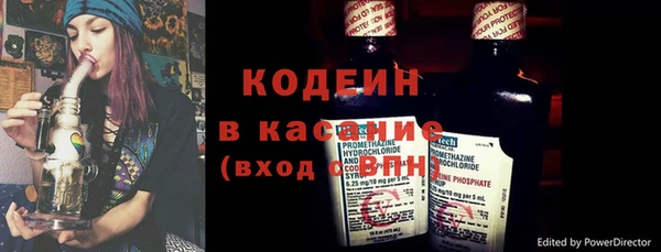 хмурый Алзамай