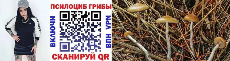 Псилоцибиновые грибы Magic Shrooms сколько стоит Нижнеудинск