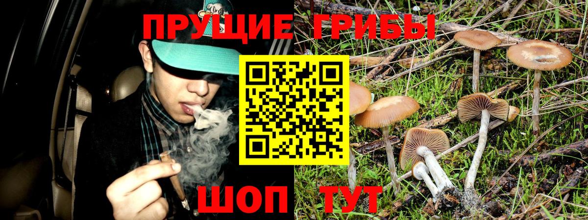 Галлюциногенные грибы Cubensis Нижнеудинск