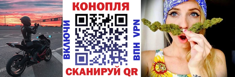 Марихуана сатива  где можно купить   Нижнеудинск 